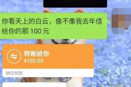 赛罕如何避免债务纠纷？专业追讨公司教您应对之策